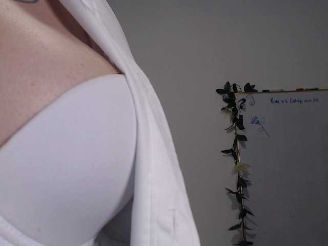 Екранни снимки на излъчване AdaIson