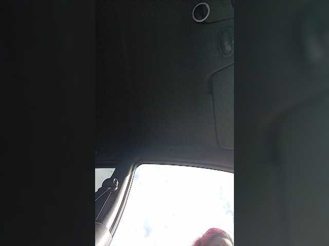 Екранни снимки на излъчване AlisaFist