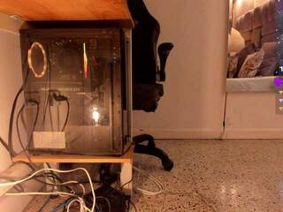 Еротичен видео чат amina-west