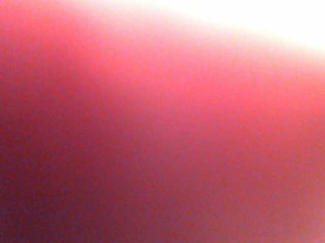 Екранни снимки на излъчване anawild4you