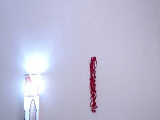 Екранни снимки на излъчване BarbaraRay