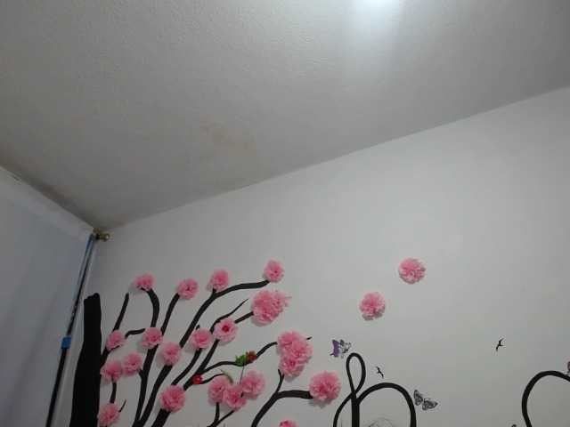 Екранни снимки на излъчване RUBY-