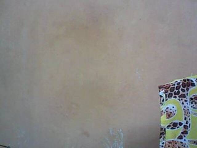 Екранни снимки на излъчване sofiawalker