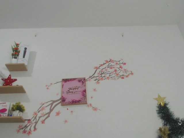 Екранни снимки на излъчване Brionygip