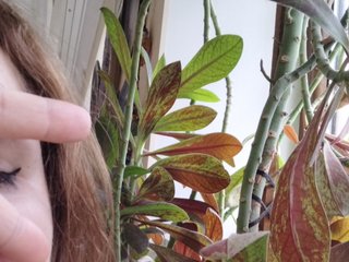 Еротичен видео чат Crazycouple8