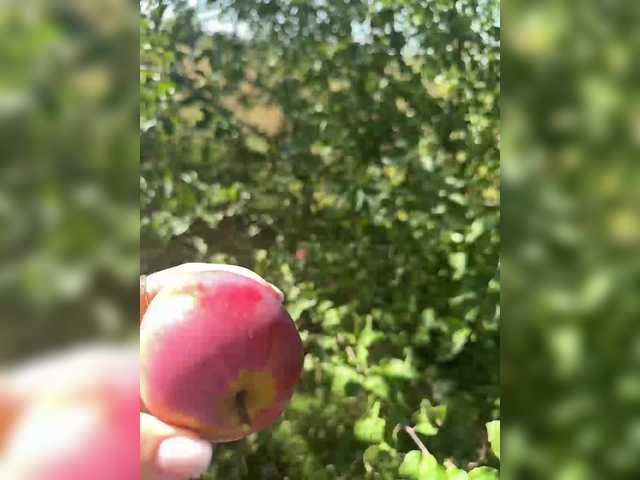 Екранни снимки на излъчване SSaibaliii