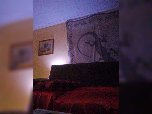 Екранни снимки на излъчване Doggysx