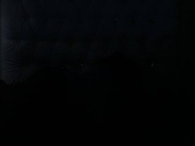 Екранни снимки на излъчване DolcePinkPuss