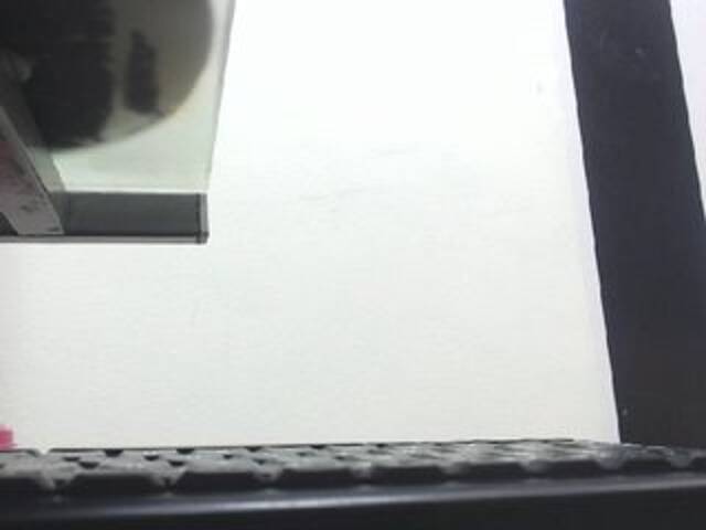 Екранни снимки на излъчване Dulceik