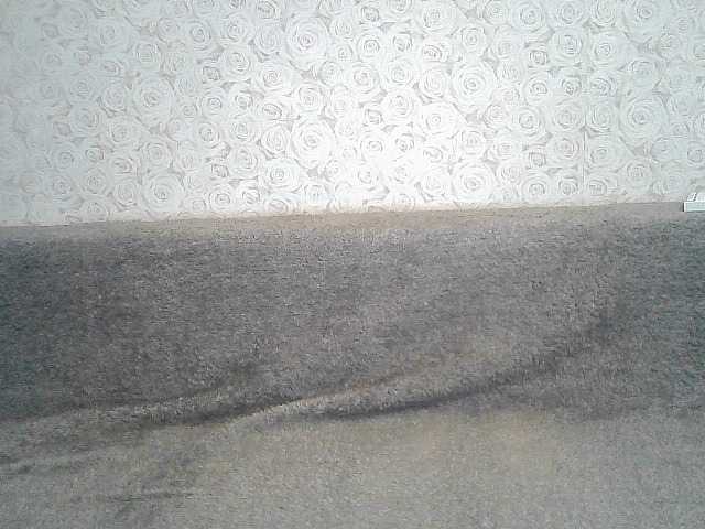 Екранни снимки на излъчване ElegantBlonda