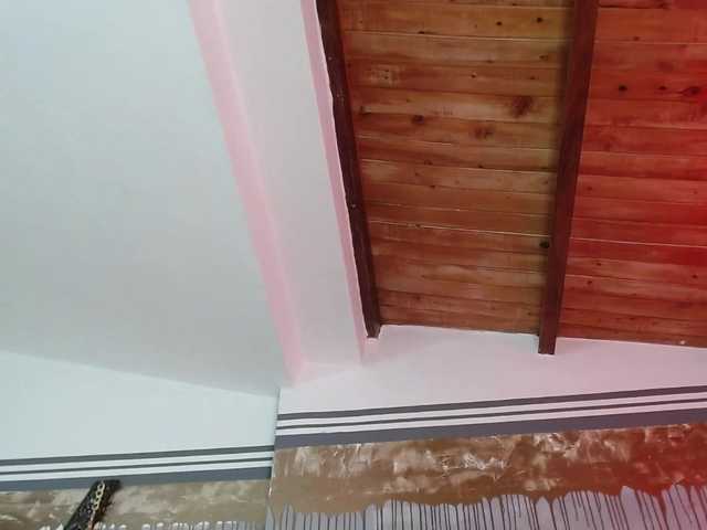 Екранни снимки на излъчване flexylive