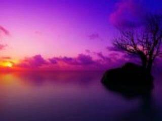 Еротичен видео чат florabella