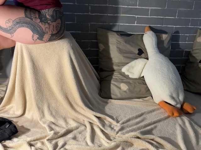 Екранни снимки на излъчване Fox-Paws