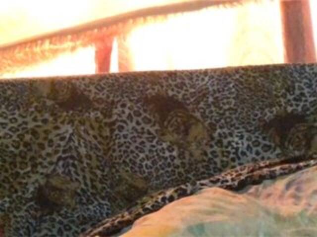 Екранни снимки на излъчване Grappa01