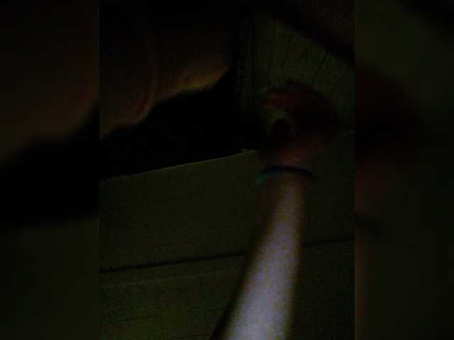 Екранни снимки на излъчване her-highness