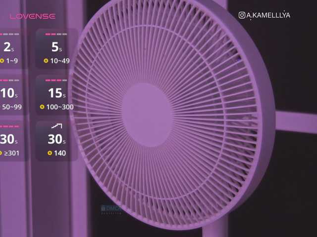 Екранни снимки на излъчване Kamelllya