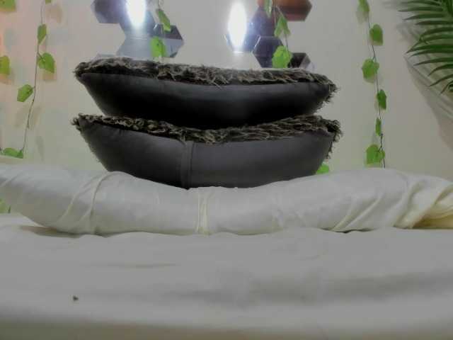 Екранни снимки на излъчване Kitty-small