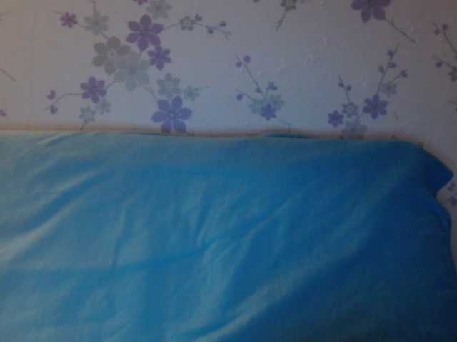 Екранни снимки на излъчване littledevi