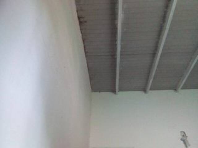 Екранни снимки на излъчване misscute