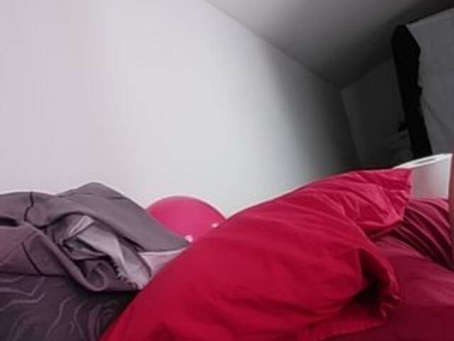 Екранни снимки на излъчване MisViolaViola