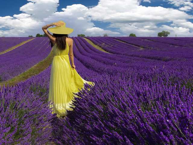 Снимка на профила morganahotix