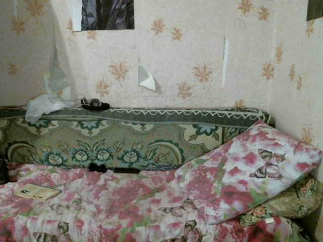 Екранни снимки на излъчване kar0linaa666