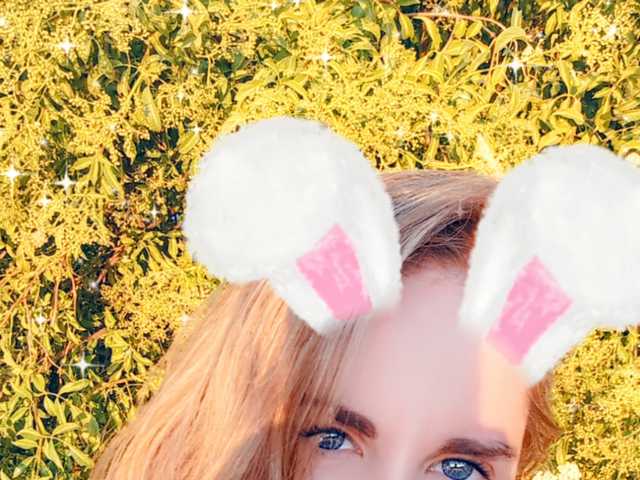 Снимка на профила Nilkibunnyxo