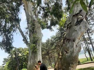 Еротичен видео чат PUPI-DEL-REY