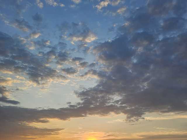 Снимка на профила onehumanbeing