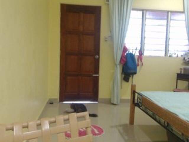 Екранни снимки на излъчване SexiBelle