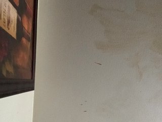 Еротичен видео чат Sexylexie18