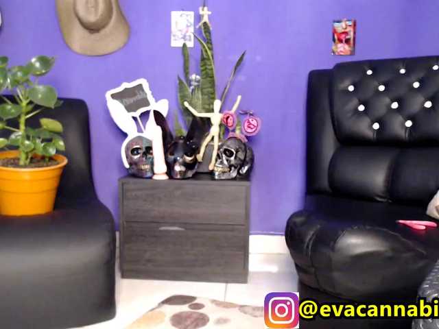 Екранни снимки на излъчване evacannabithc