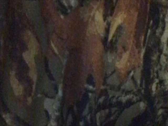 Екранни снимки на излъчване shawtyyredd