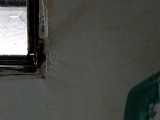 Еротичен видео чат shelbyn
