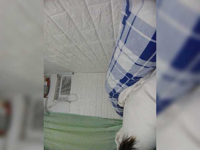 Екранни снимки на излъчване single332