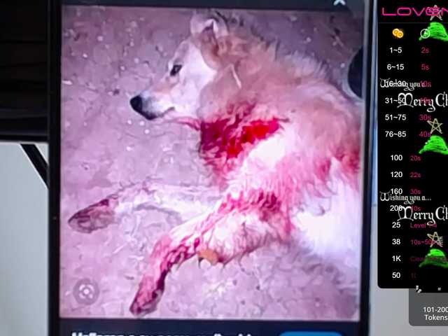 Екранни снимки на излъчване sofiaclaus