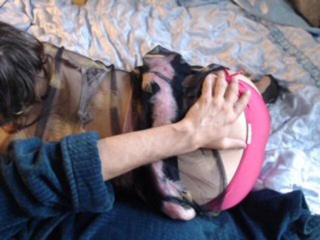 Екранни снимки на излъчване Masha_Ivanova