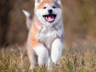 Еротичен видео чат Val309a