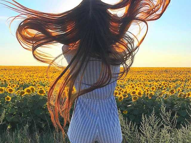 Снимка на профила victorymester