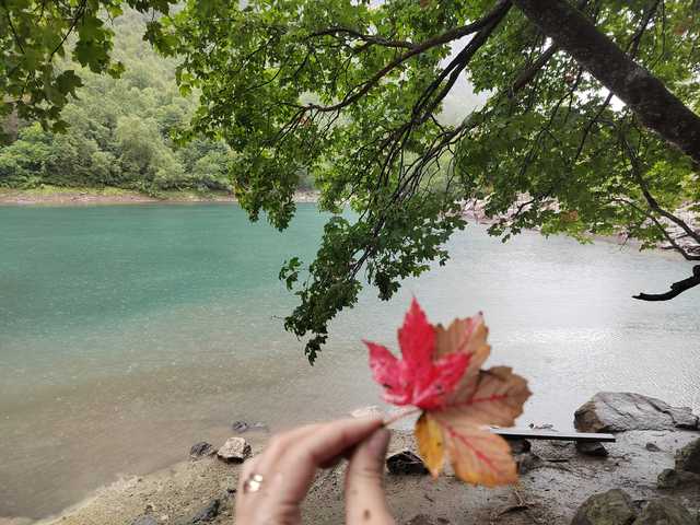 Снимка на профила _GoodGirl_