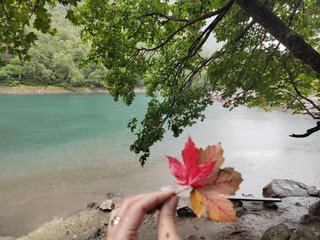 Еротичен видео чат _GoodGirl_