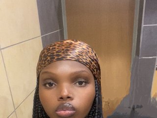 Еротичен видео чат Wildcata