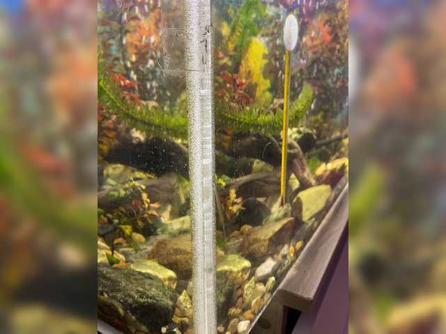 Екранни снимки на излъчване Zhozhoba69