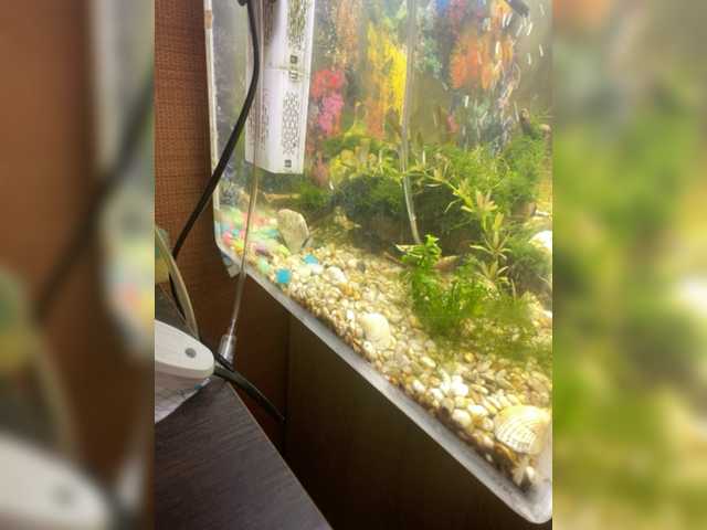 Екранни снимки на излъчване Zhozhoba69